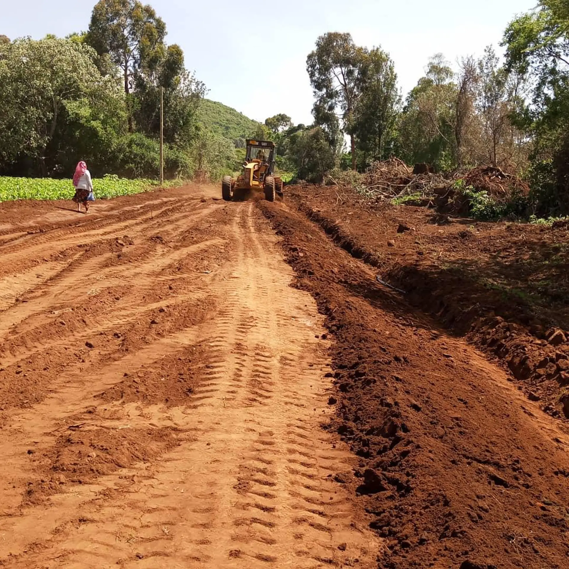 DMDP Hannag Project - photo 33